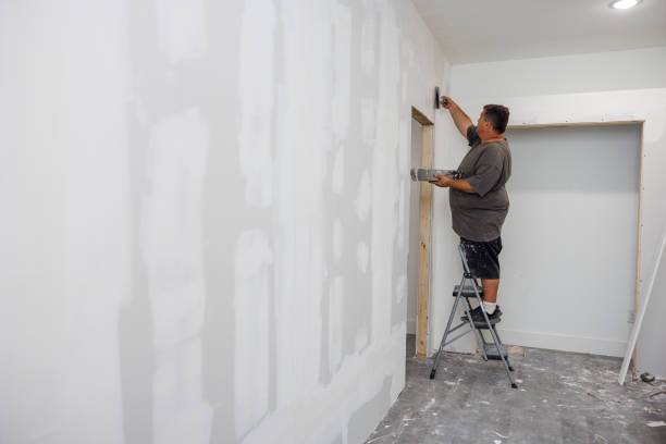 Best Attic Mold Removal  in Fairfield Beach, OH