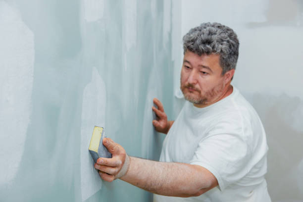 Best Dehumidification Services  in Fairfield Beach, OH